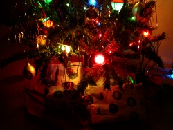 Our tree