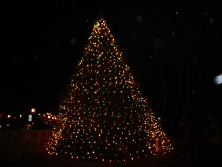 The Tree